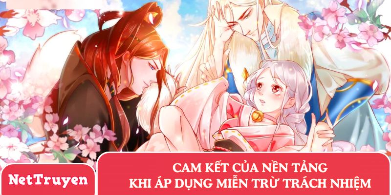 Cam kết của nền tảng khi áp dụng miễn trừ trách nhiệm